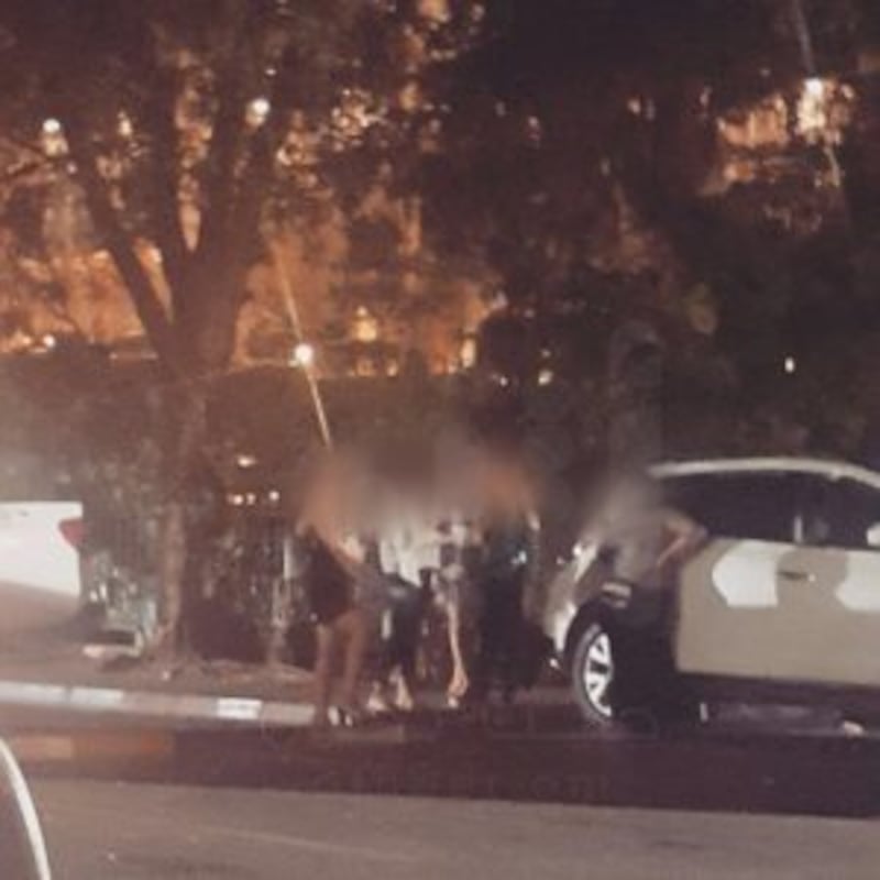 بالصور والفيديو.. كائنات ليلية في شوارع مسقط