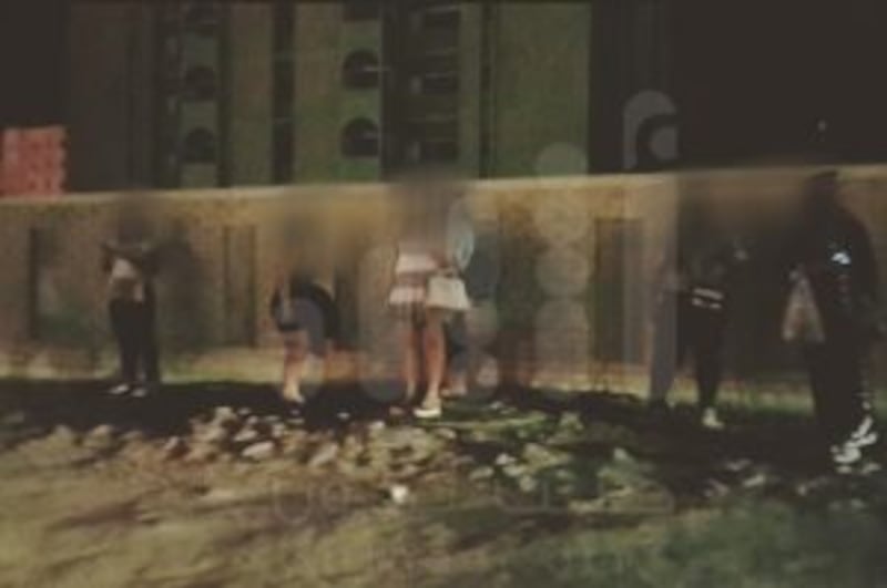 بالصور والفيديو.. كائنات ليلية في شوارع مسقط