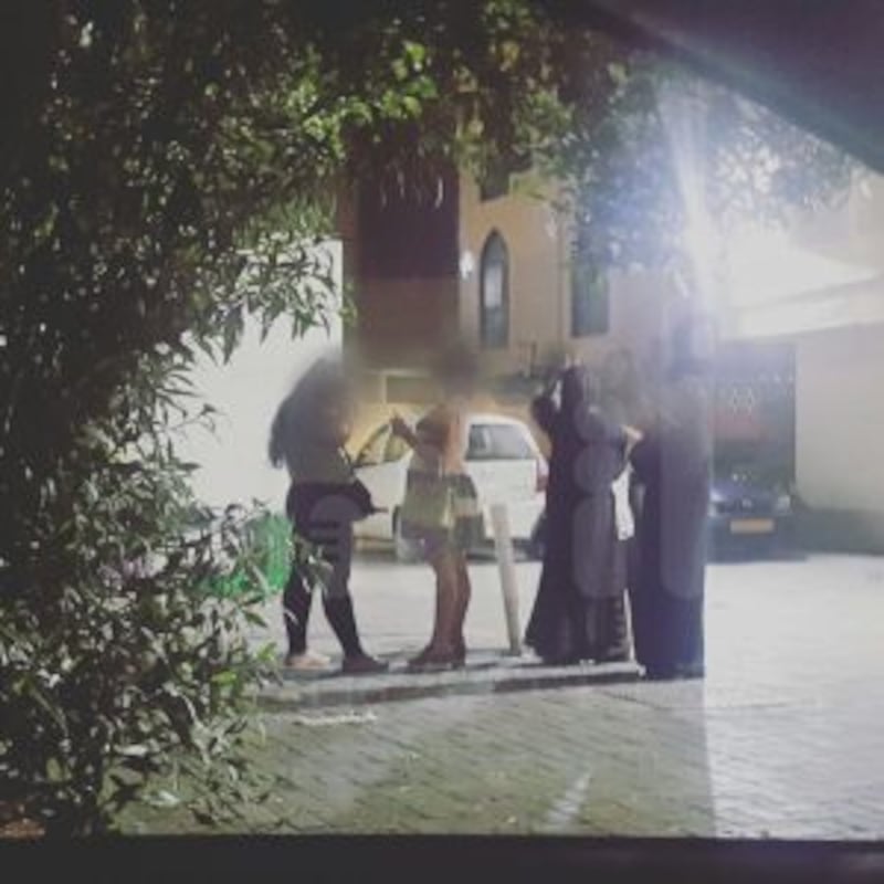 بالصور والفيديو.. كائنات ليلية في شوارع مسقط