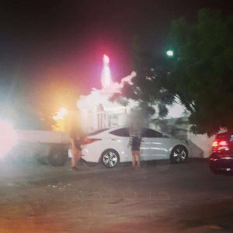 بالصور والفيديو.. كائنات ليلية في شوارع مسقط