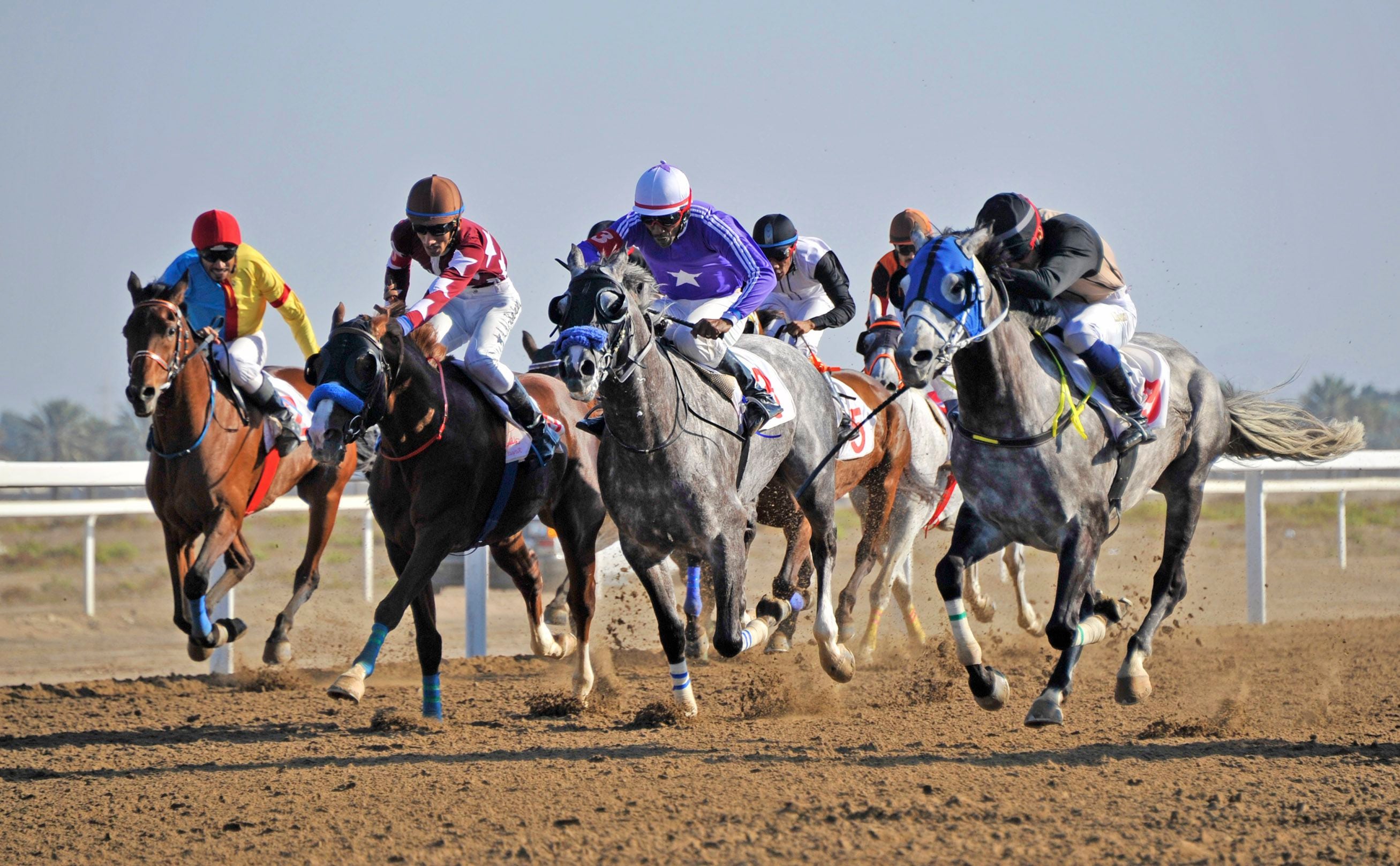 الخميس : أول أيام سباقات الخيل