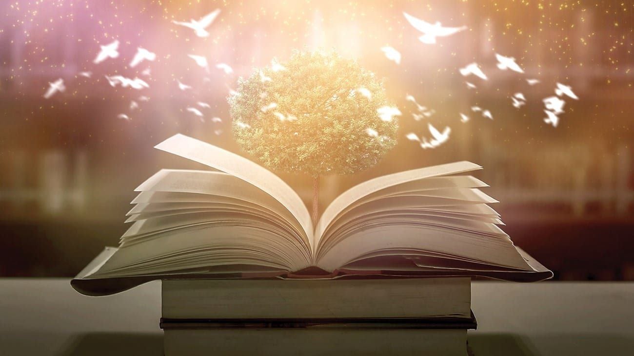 الأستاذ الدكتور محمد القضاة يكتب عبر “أثير”: إعادة مركز الرؤية؛ النخب المثقفة