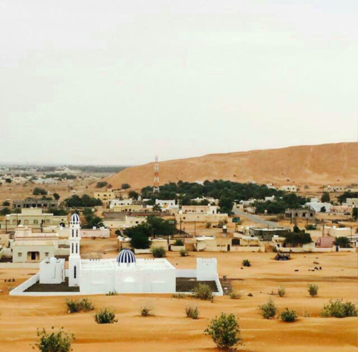 وفاة مواطنين من أسرة واحدة في بدية
