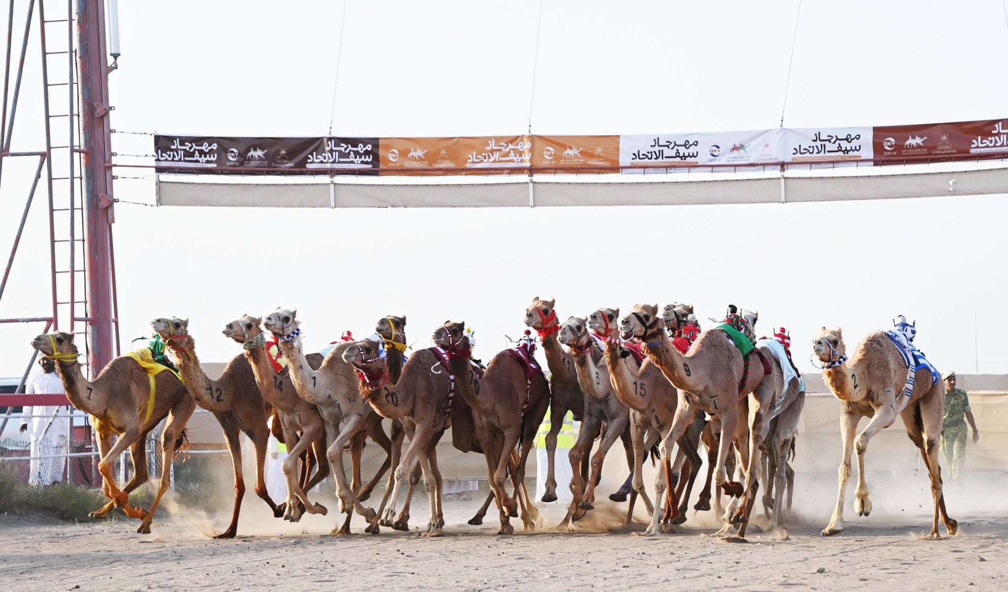 بالصور: سمو السيد ذي يزن يتوج الفائزين في مهرجان الهجن