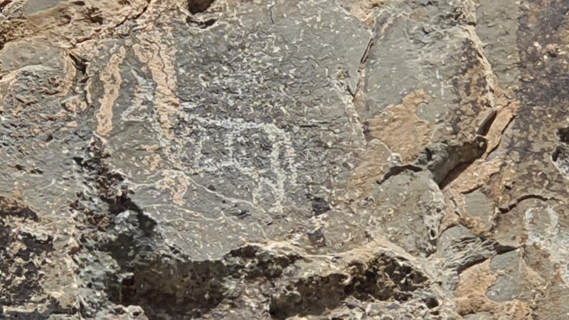 اكتشاف رسومات ونقوش صخرية نادرة في صحار