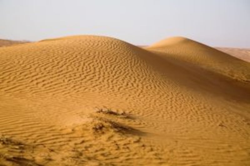 #السياحة_في_بلادي: ما الذي يُميز رمال الشرقية؟