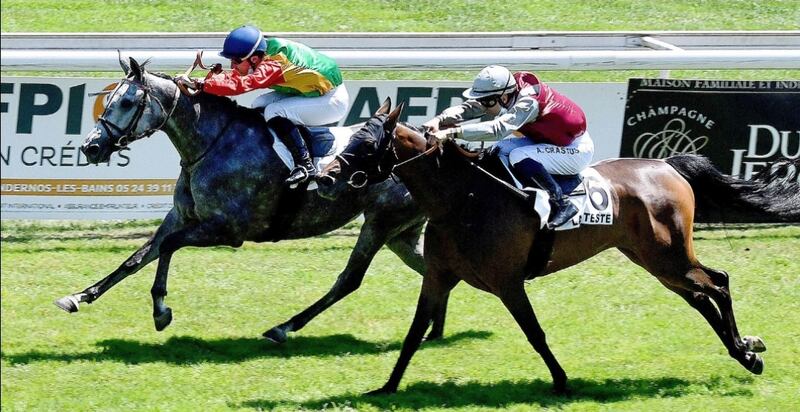 “قمرية” للخيالة السلطانية “الأولى” في سباق فرنسي