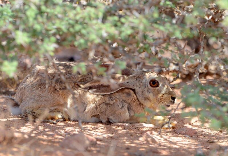 بعد المراسيم السلطانية اليوم: 30 محمية طبيعية؛ فكيف تُستثمَر؟