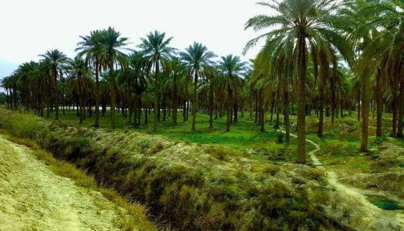 كأس الخليج سيكون في البصرة؛ فماذا تعرف عن هذه المدينة المُسمّاة بـ “خزانة العرب”؟