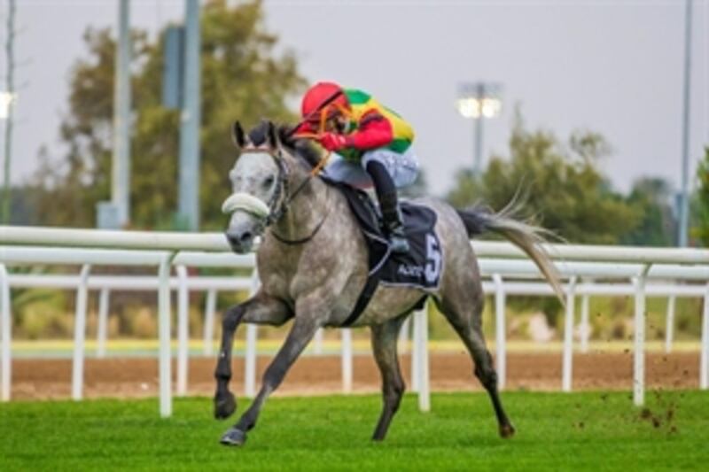 حصان عماني “الثاني” في سباق بالإمارات