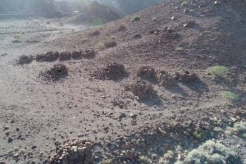 بالصور: اكتشاف مقبرة نادرة في السلطنة