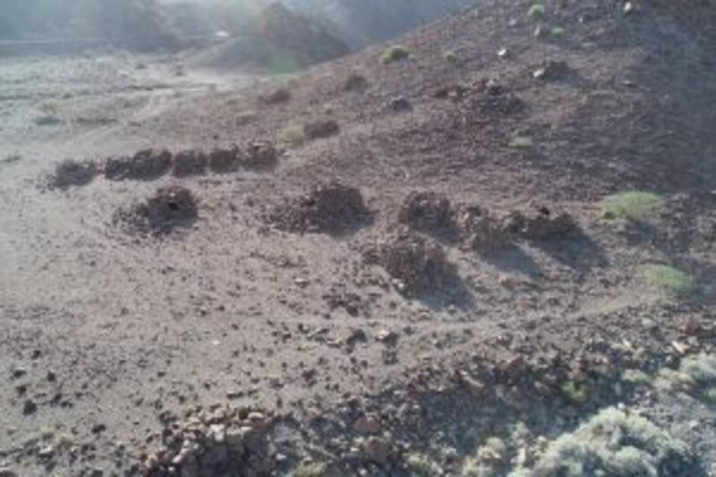 بالصور: اكتشاف مقبرة نادرة في السلطنة