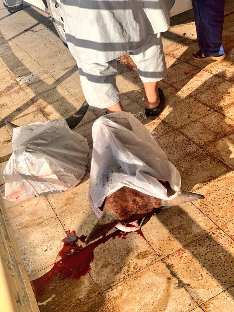 بالصور: مسلخ بلا نظافة، ولا اشتراطات صحية