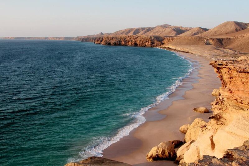 بالفيديو: إرجاع 6000 سلحفاة إلى البحر