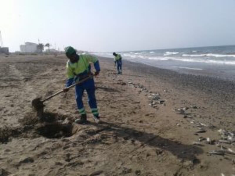 مواطنون يشتكون من انبعاث روائح مزعجة في السيب والبلدية تتفاعل