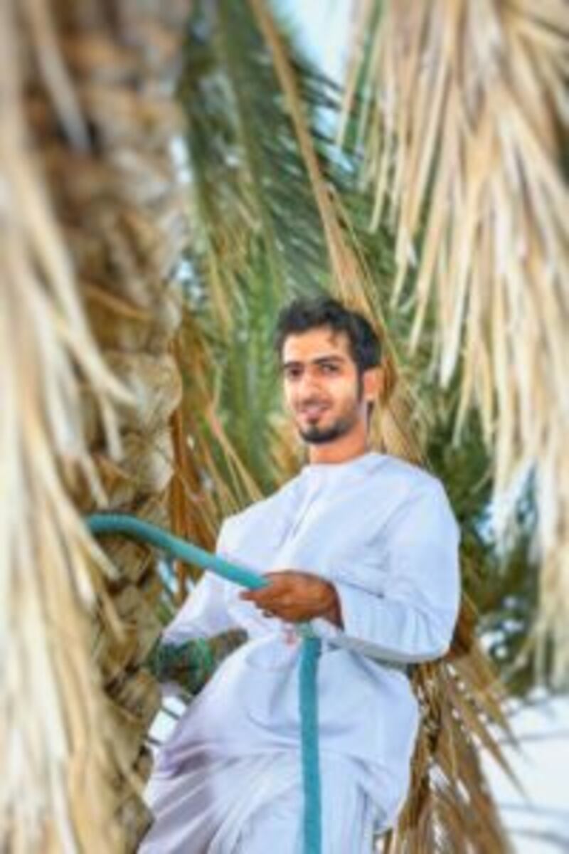 التأمينات الاجتماعية” تحتفل بـ 28 عامًا على إنشائها