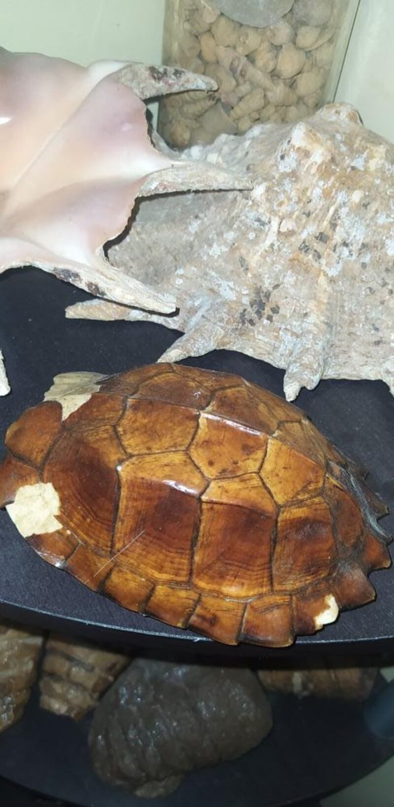 مغامر عماني لُقّب بصائد النيازك يتحدث عن تجربته في البحث عنها