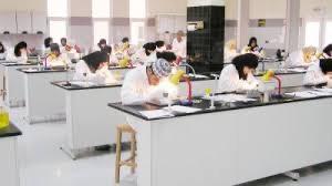 د.رجب العويسي يكتب: الصورة الذهنية التي يقدمها نظامنا التعليمي حول السياسات الاقتصادية الوطنية