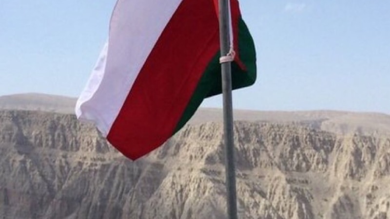 حرب اليمن وصوت العقلاء