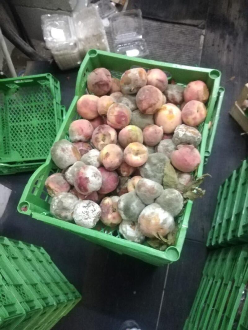 مداهمة تكشف مخالفة في تخزين الخضروات والفواكه