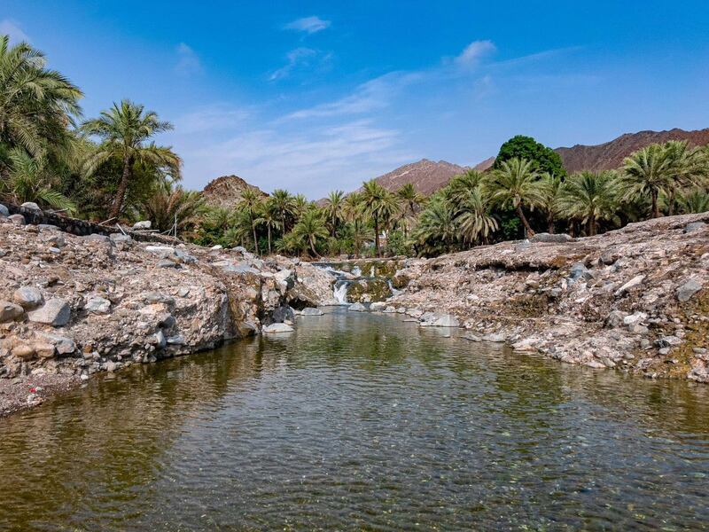 ولاية مدحاء.. حضور استثنائي في الجغرافيا العمانية