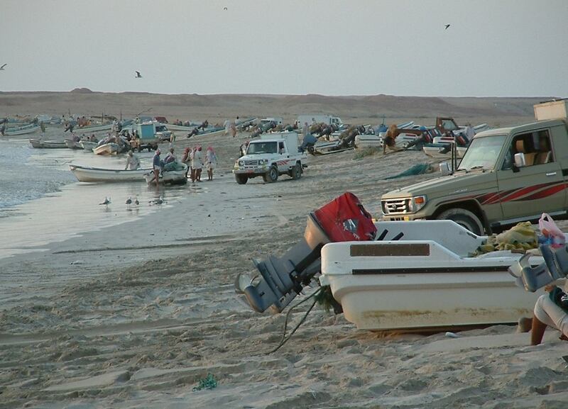 بإسناد من الشرطة: حملة تطيح بأكثر من 40 عامًلا في الصيد بالوسطى