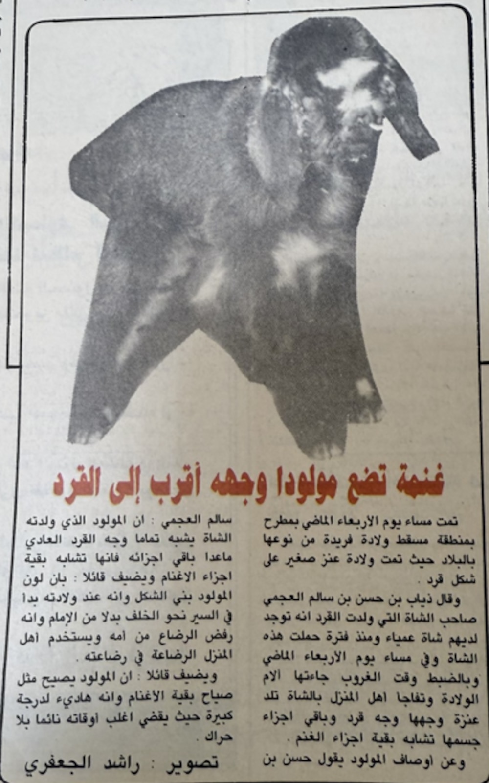 جريدة عمان. فبراير 1989