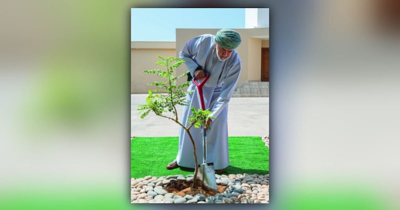 ماذا يُمثّل احتفالنا بيوم الشجرة؟