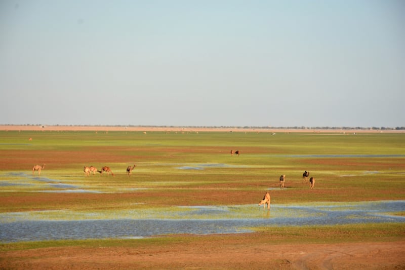 بالصور: “قوع الجوبة” قرية عُمانية يقصدها الزوار للراحة والاستجمام
