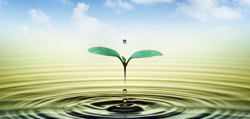 حياتنا فرص متجددة