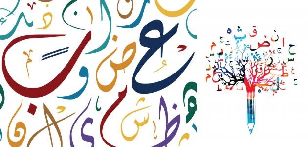 الحكواتي أحمد الراشدي يكتب: حفلة الحروف تحت سدرة سمائلية