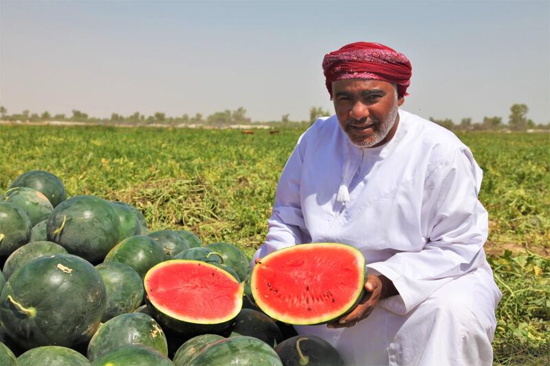 بالأرقام: زراعة الجح مربحة وذات دخل جيد