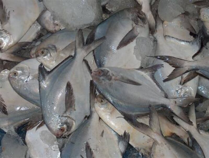 كأس الخليج سيكون في البصرة؛ فماذا تعرف عن هذه المدينة المُسمّاة بـ “خزانة العرب”؟