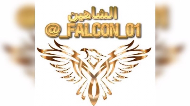 د.سالم بن سلمان الشكيلي يكتب: عجيبٌ أمرك أيّها الشاهين