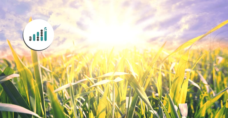 نصائح وحلول؛ كيف يمكن للمزارعين الحد من تأثيرات الحرارة على الزراعة؟