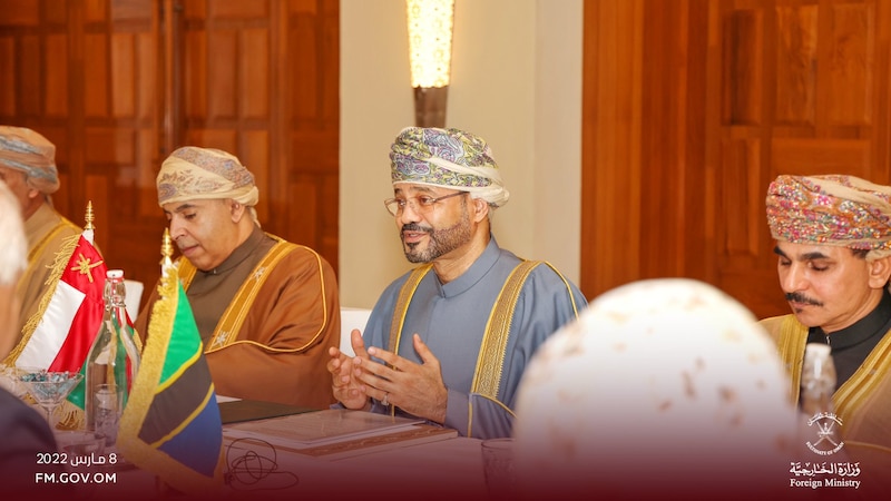 وزير الخارجية يعقد جلسة مشاورات مع نظيرته التنزانية