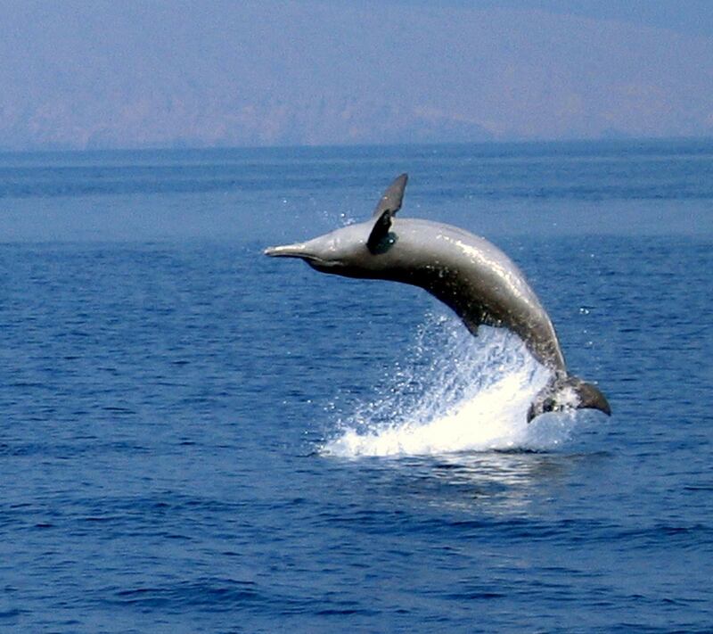 بالصور: خصب..اسمٌ على مسمّى وعنوان للجمال المُبتغى