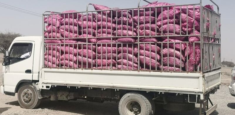 بعد أن تم ضبطهم في الباطنة: ما عقوبة من يقوم بتسخيم حطب الأشجار؟