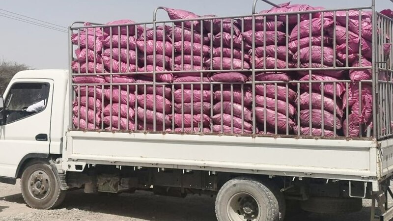 بعد أن تم ضبطهم في الباطنة: ما عقوبة من يقوم بتسخيم حطب الأشجار؟
