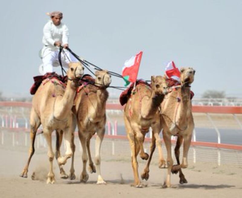 الخنجر العماني وحداء الإبل يُسجّلان في “اليونسكو”