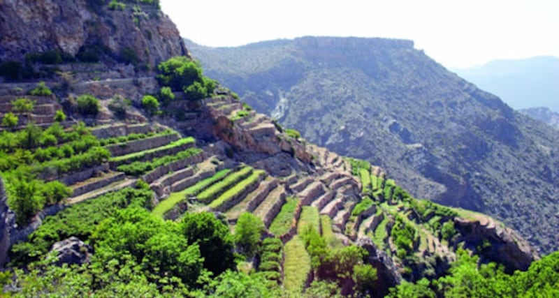 مقاطع مُتداولة عن زيارة جلالة السلطان له: الجبل الأخضر به مزرعة سلطانية