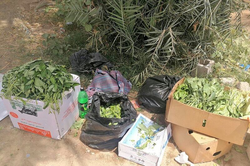 تجاوبًا مع الأهالي: ضبط باعة متجولين في الجفنين