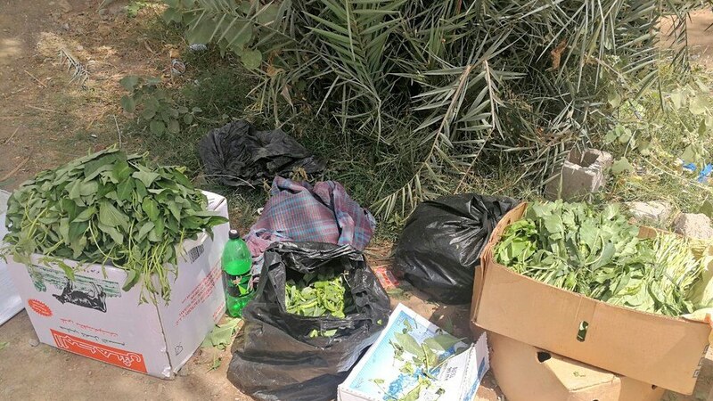 تجاوبًا مع الأهالي: ضبط باعة متجولين في الجفنين