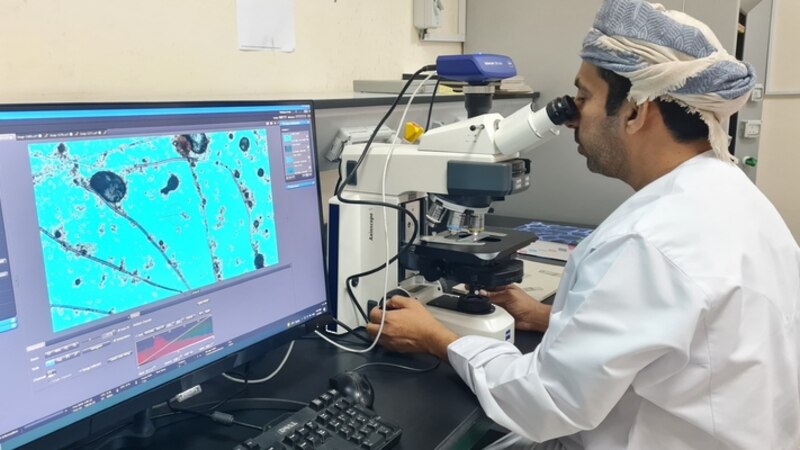 إنجاز علمي بجامعة نزوى يكشف عائلة فطرية جديدة ضمن أعشاش النمل