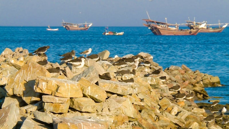 ماذا تعرف عن قرية خلوف؟!