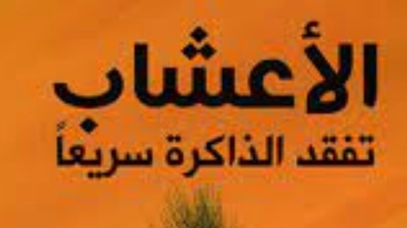 “الأعشاب تفقد الذاكرة سريعا” في قراءة أدبية لـ “أثير”