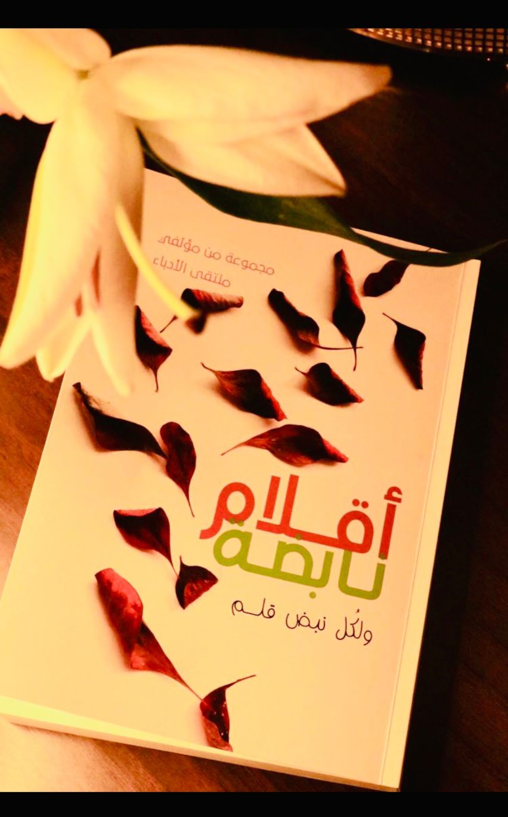 ”على قارعة الأيام” يوصِل فاطمة الحوسنية إلى مسابقة عباس العقاد لفن المقال