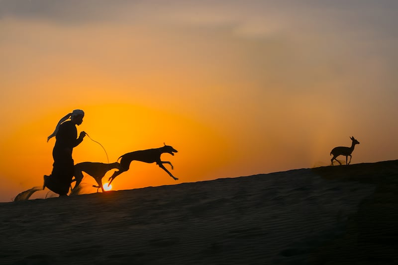 سلطنة عُمان تتوّج بكأسي العالم للتصوير الضوئي في بينالي الفياب 2025