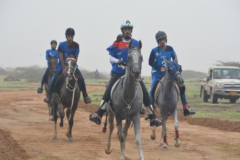 لمحبي الفروسية: سباق للقدرة والتحمل في صلالة