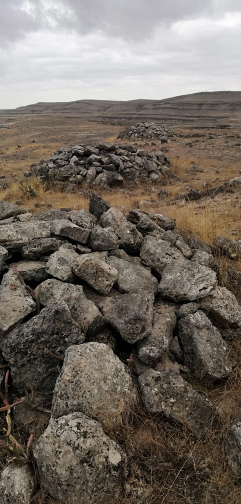 “حيوان سيلول” نموذجًا: آثار قديمة في ظفار نُسِجت حولها أساطير